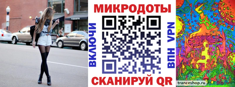 Псилоцибиновые грибы Psilocybe  Купить  Неман 