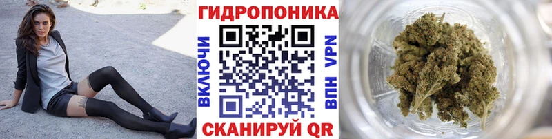 Бошки марихуана Amnesia  Купить закладки  Неман 